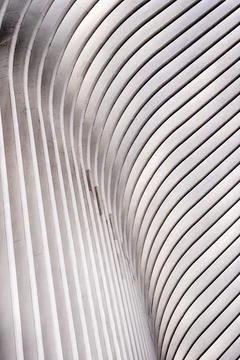 Architectural Ribs With Light And Shadow Stock Photos