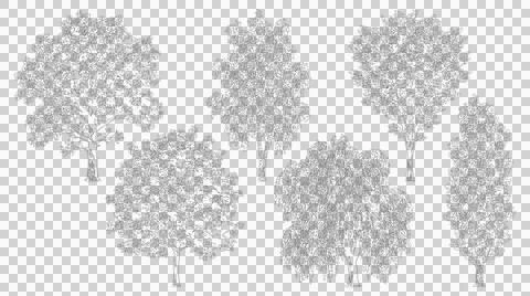 Architectural tree elevation view set isolated on transparent background fo.. Stock Illustration
