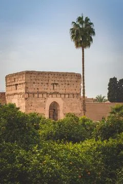 Architecture and orange tree from Marrakech Stock Photos