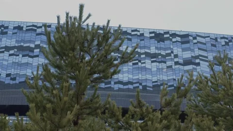 Architecture, building, trees, mirror, st peterburg Vídeos de archivo 131242534