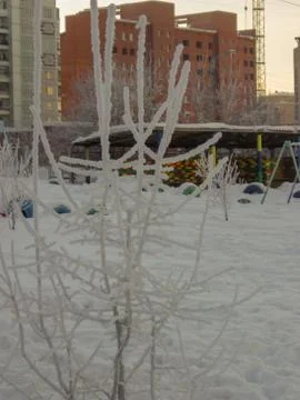 Architecture built structure snow Winter cold temperature building exterior 스톡 사진