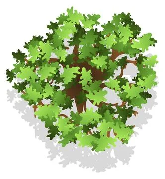 Architecture design plan element. Green tree from above イラスト素材