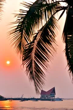 Architecture at dock with sunset sky and palm tree silhouette foreground Stock Photos