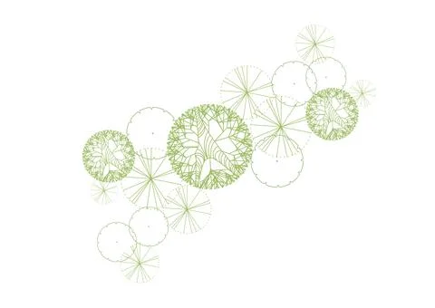 Architecture drawing plant tree top view plan greenery vegetation vector. イラスト素材