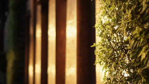 Architecture facade reflected tiles in golden morning sunlight garden Stock Footage 335705874