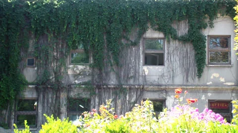 Architecture Stock Footage 25042507