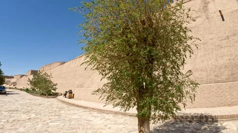 Architecture of Khiva city Stock Footage 201796863