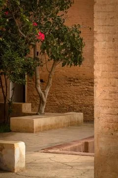 Architecture from Marrakech 库存照片