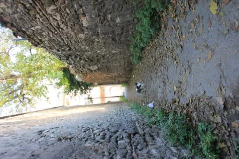 Architecture Stock Photos