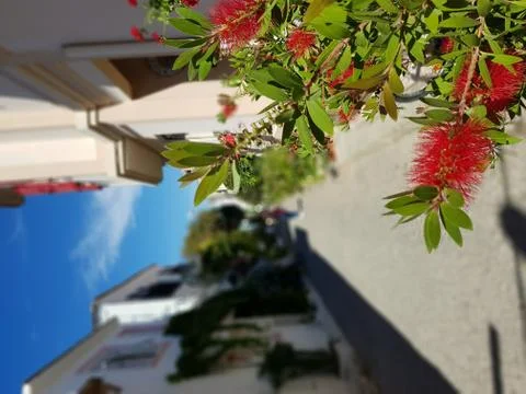 Architecture - Stock Photos