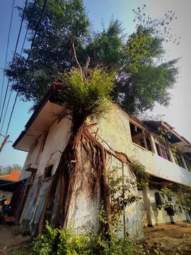 Architecture Stock Photos