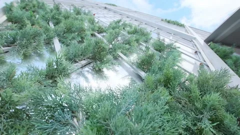 Architecture with plants High quality Stock-Footage 171072039