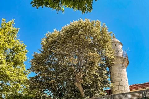 Architecture small mosques in istanbul Stock Photos
