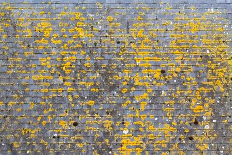 Architecture texture Stock Photos