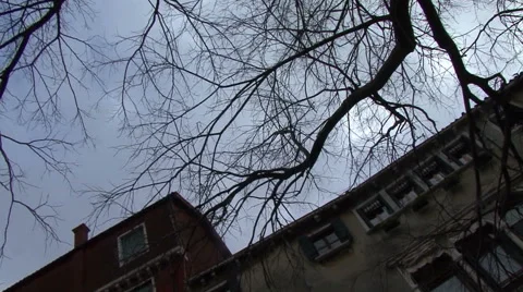 Architecture Venice Stock Footage 53004762