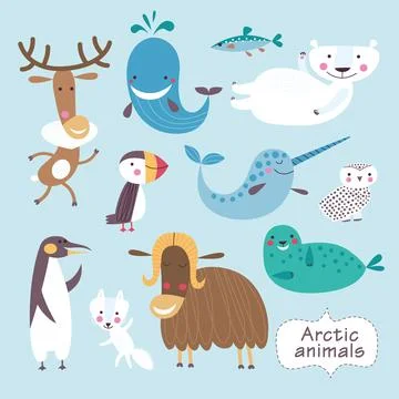 Archive 11 Stock Illustration