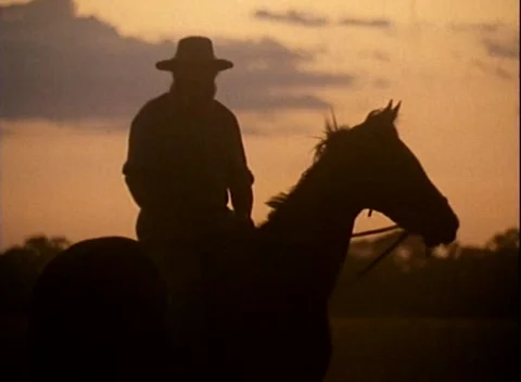 Archive Footage: Cattle Drovers on Horse, Golden Sunset Silhouette (1985) Stock Footage 245333553