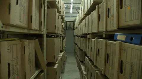 Archive Rows of boxes in a library Stock Footage 319761260