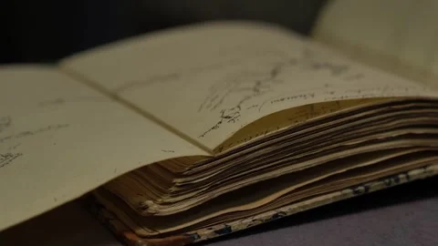Archivist examines ancient handwritten book wearing protective gloves Stock Footage 306619084