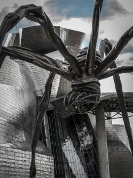 Archshootes Stock Photos