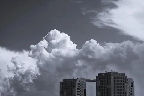 Archshootes Stock Photos