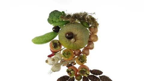 Arcimboldo style animation  Stock Footage 81216068