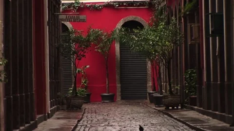 Arco do Telles Stock Footage 315786222