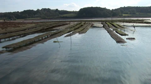 Arcouest-Brehat Stock Footage 35044100