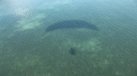 Arcouest-Brehat Stock Footage 35044108