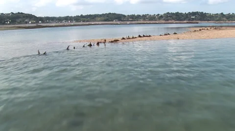 Arcouest-Brehat Stock Footage 35044112