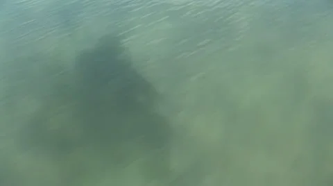 Arcouest-Brehat Stock Footage 35044113