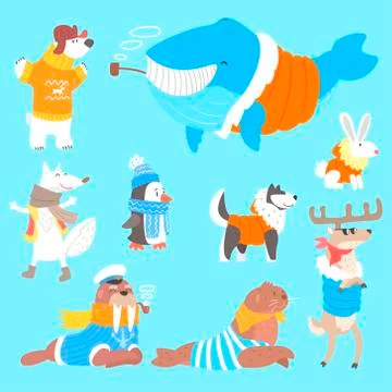 Arctic Animals Dressed In Human Clothes Set Of Illustrations Stock Illustration