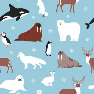 Arctic animals seamless pattern. Vector cartoon illustration of polar bear Stock Illustration