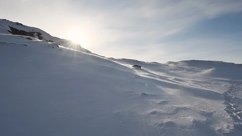 Arctic Blizzard. Blowing Wind. Snow Drift. Antarctic wind. Vídeo Stock 118849760