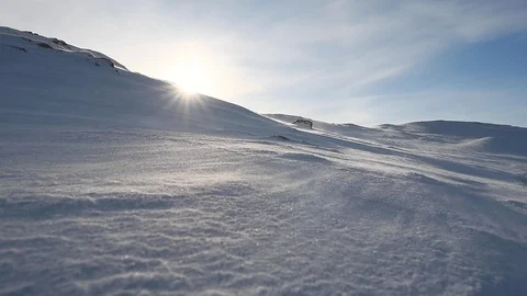 Arctic Blizzard. Blowing Wind. Snow Drift. Antarctic wind. Stock Footage