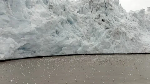 Arctic circle massive icecap and arctic ocean, Aerial view Stock-Footage 302730117