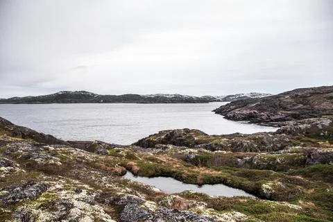 Arctic Coast Stock Photos