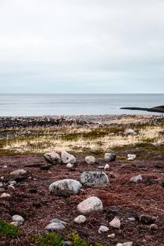 Arctic coastline Stock Photos