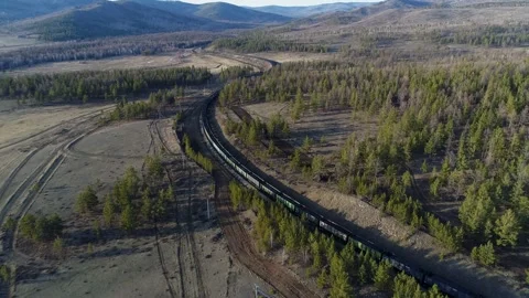 Arctic Forest through which railway was laid for the export of coal from deposit Stock Footage 203919664