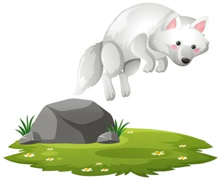 Arctic Fox Leaping Over Rock on Grassy Meadow Stock Illustration