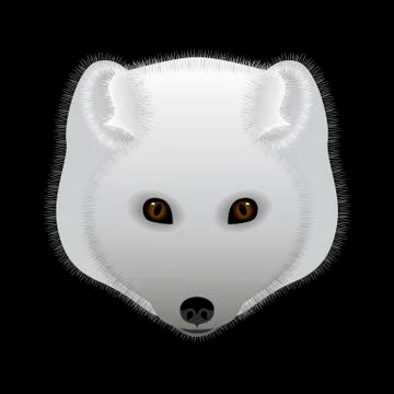 Arctic fox. Portrait, head. Predatory animal of the north. Stock-Illustration