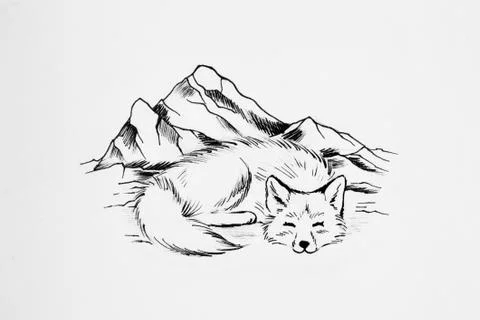 Arctic fox sleeps on a background of high mountains. 스톡 일러스트