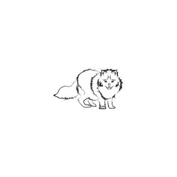 Arctic fox vector black on white background Stock Illustration