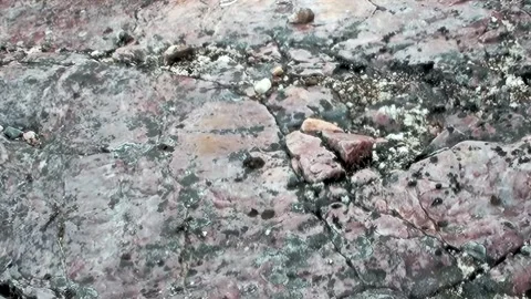 Arctic Ground Life and Stone Fragments on Svalbard Norway Stock Footage 340484795