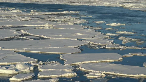 The Arctic. Gulls fly over the ice. A trace of the ship. Chunks of ice float Stock Footage 150101613