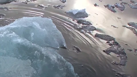 Arctic Ice Flow's Majestic Dance on Sunlit Waters Video stock 340484039