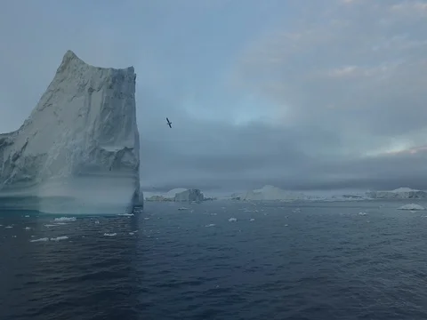 Arctic Icebergs Greenland in the arctic sea Stock Footage