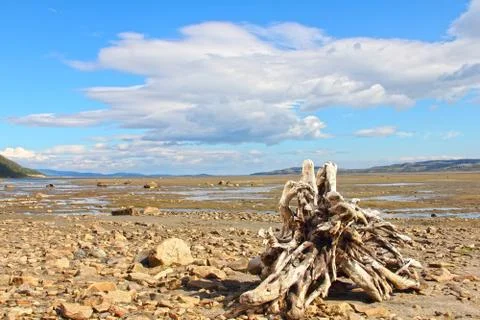 Arctic landscape Stock-Fotos