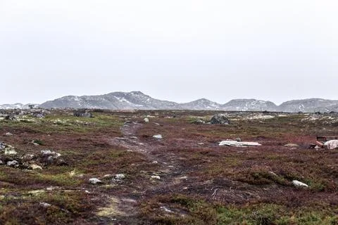 Arctic landscape Stock Photos
