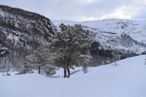 Arctic Norway in Winter Stock Photos